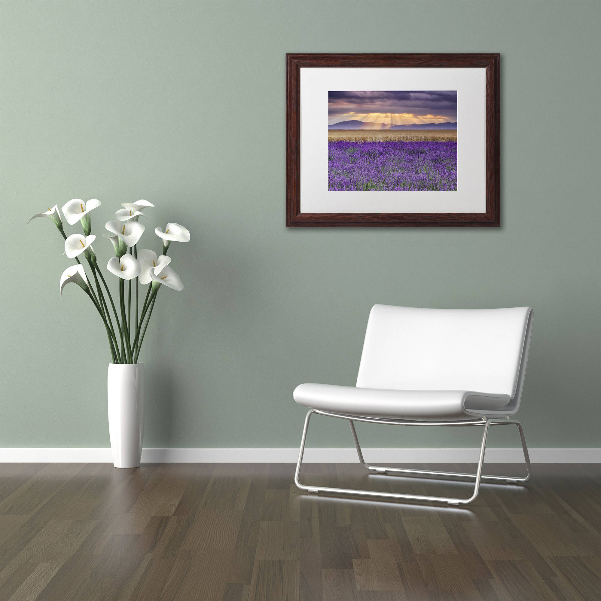 Trademark Fine Art "Lavender Sunbeams" Canvas Art by Michael Blanchette Photography White Matte, Wood Frame