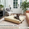 thumbnail image 2 of Happy Hounds Buster Rectangle Pillow Style Dog Bed, Buttercream, Large (48 x 36 in.), 2 of 7