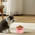 thumbnail image 6 of Raised Cat Food Bowl – Ceramic Elevated 15° Tilted Cat Bowl for Whisker & Neck Fatigue, Dishwasher Safe – Non-Slip & Anti Vomiting Ergonomic Design （Pink）, 6 of 6