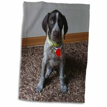 3dRose German Shorthaired Pointer Puppy with Red Heart, 3drsmm - Towel, 15 by