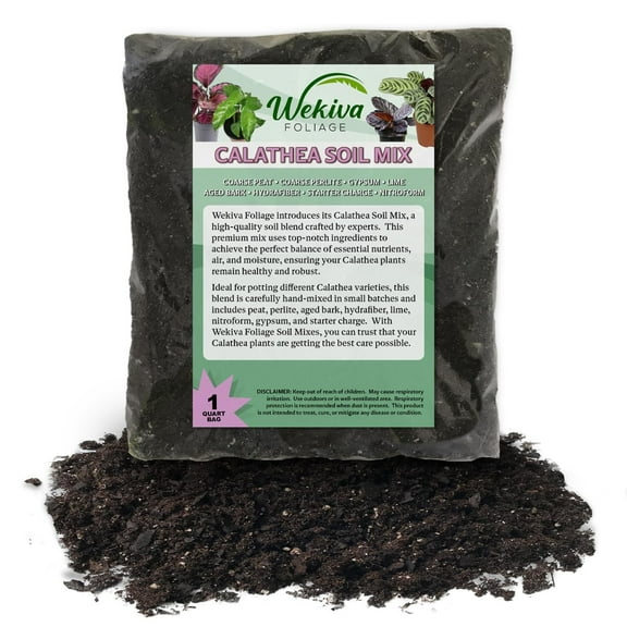 Calathea Growing Soil Mix 1 Quart - Custom Soil Blend Potting Mix for Calathea Plants Specially Developed by and for Professional Nursery Growers - Nutrient-Rich Formula