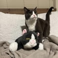 thumbnail image 2 of Peluche Gato Snuggle Kitty Latido por Snuggle Puppy, 2 of 9