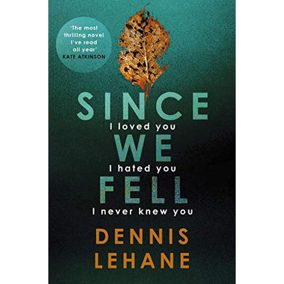 Pre-Owned Since We Fell* (Paperback) 0751571970 9780751571974