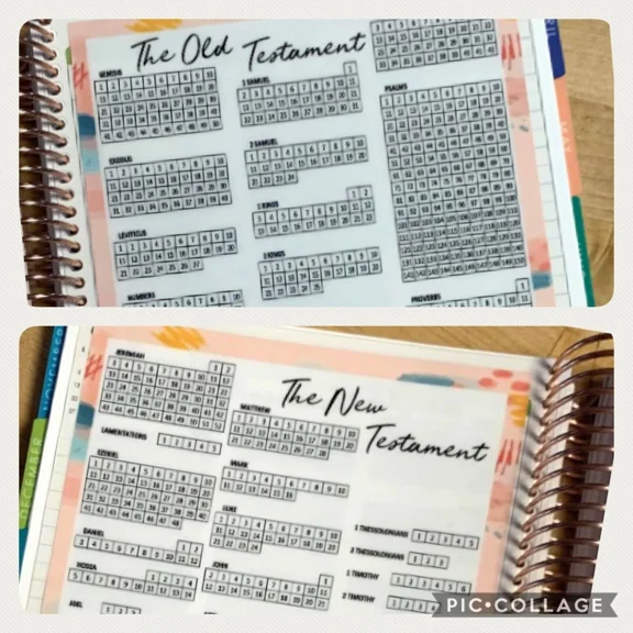 Bible Readings Tracker New/Old Testament Dashboard 4 Use W Erin Condren Planner