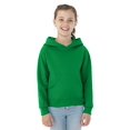 thumbnail image 2 of Youth NuBlend Hooded Pullover Sweatshirt (Kelly) (Small), 2 of 2