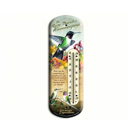14.75" Brown and Green Three-Dimensional Hummingbird Tin Thermometer