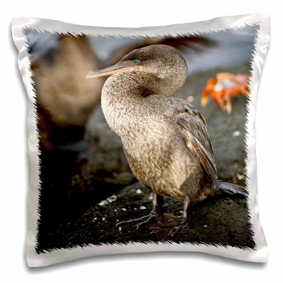 3dRose, Flightless Cormorant, Galapagos Islands - SA07 RBE0070 - Ralph H. Bendjebar, 16x16 inch Pillow Case