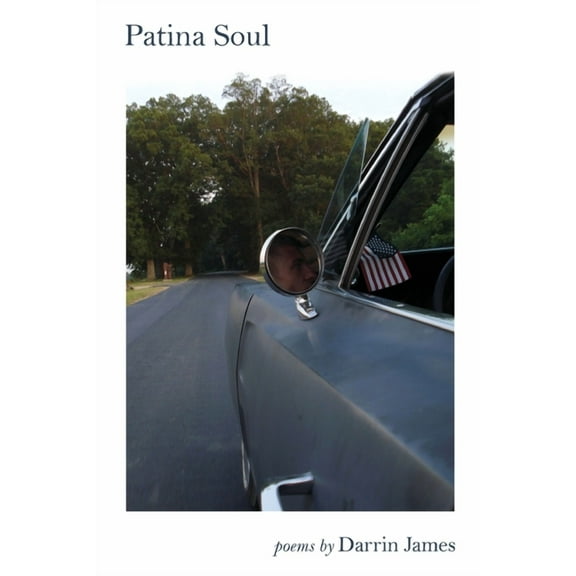 Patina Soul (Paperback)