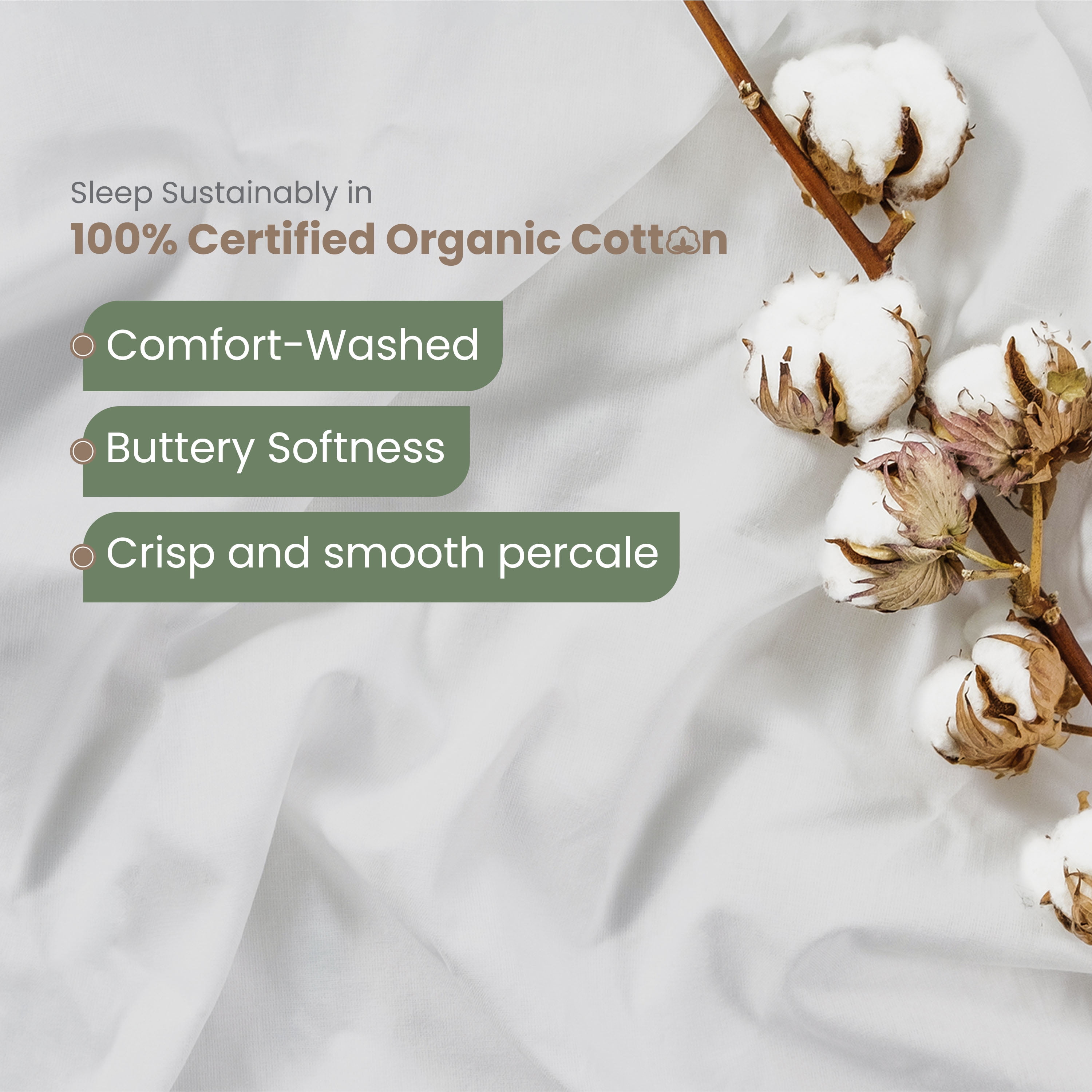 EcoPure 4-Piece King Sheet Set | 100% Organic Cotton | Comfort Washed | Deep Pocket | White