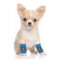 thumbnail image 4 of Unique Bargains Pack of 4 Dog Leg Soft Knitted Dog Socks Joint Protection Blue Bear L, 4 of 7