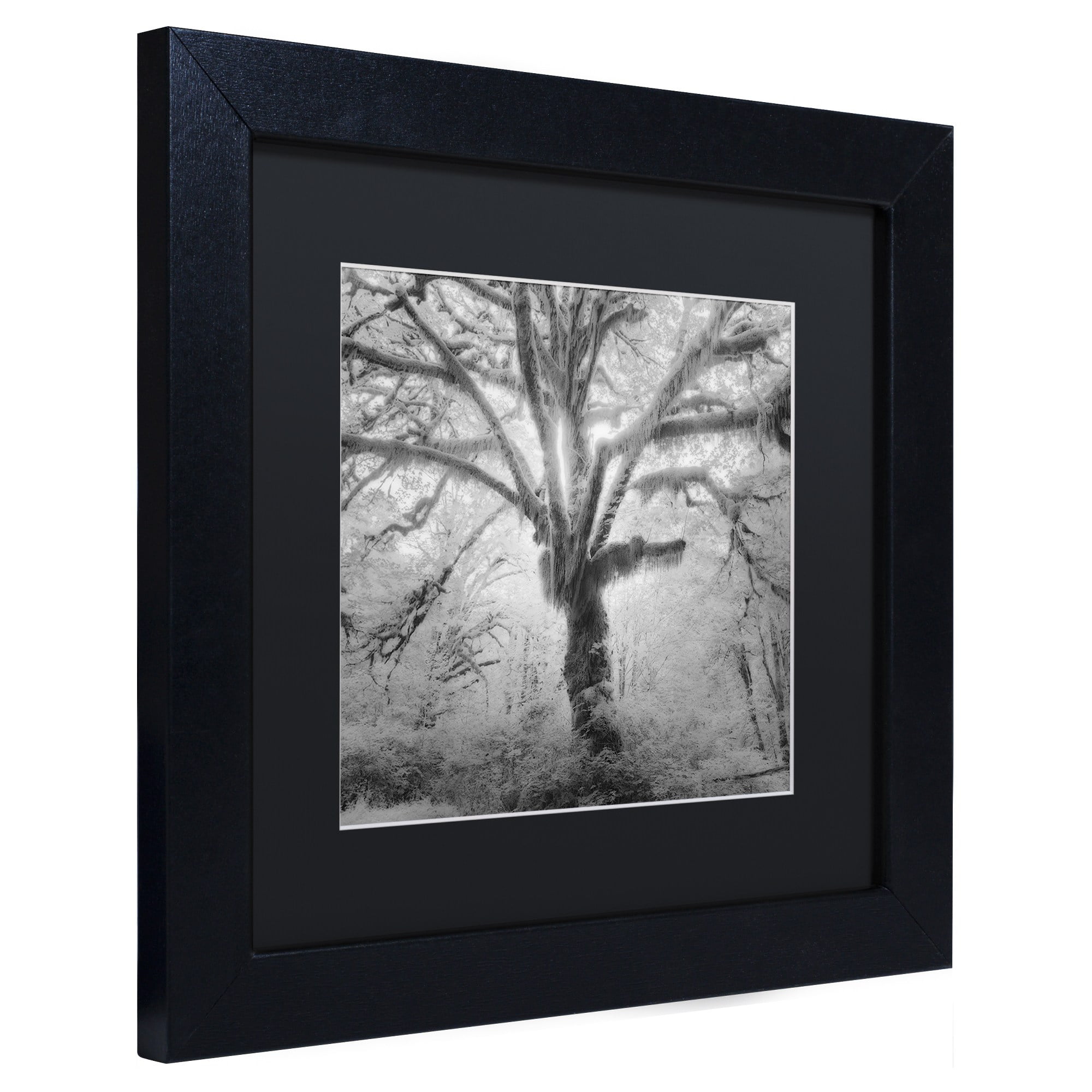 Moises Levy 'Lightning Tree II' Black Matted Framed Art