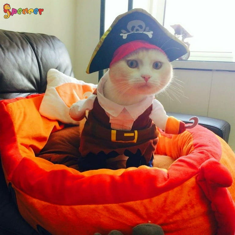  Border Collie Happy Halloween Costume Pirate Zip