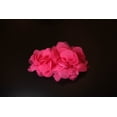 thumbnail image 6 of Offray Hot Pink 4 1/2" Handmade Chiffon Flower, Craft,1 Each, 6 of 10