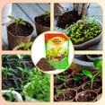 thumbnail image 4 of Seed Starting Soil Mix 1qt, Seed Starter Seedling Soil Ready to Use Suitable for Vetable, Flower, Houseplant and Bonsai, 4 of 4