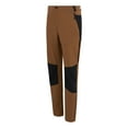 thumbnail image 3 of Regatta Pantalon de Randonnée Questra V pour Hommes, 3 of 5