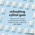 thumbnail image 2 of XyloBurst Gum | Xylitol Chewing Gum | Sugar Free, Gluten Free, Keto Friendly | Aspartame Free Gum For Oral Health | Peppermint | 100-Count Jar, 2 of 6