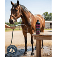 thumbnail image 4 of EQyss Micro-Tek Medicated Horse Care Bundle Shampoo and Spray Equine Grooming Set, 4 of 12