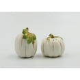 thumbnail image 4 of Ceramic White Pumpkin Salt and Pepper Shakers Gift Set, 4 of 4