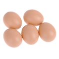 thumbnail image 2 of MYG 5Pcs Fake Plastic Dummy Eggs Model Joke Farm Chicken Nesting Hen Hatching Egg, 2 of 6