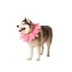 thumbnail image 2 of Collar de flores rosas ComfyCamper para disfraz de perro, XS-XXL, 2 of 3