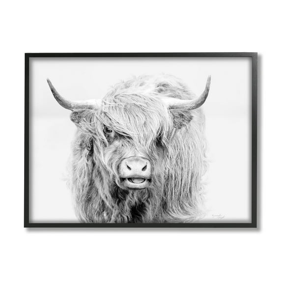 Stupell Industries Expressive Highland Cattle Monochrome Animal Portrait Photograph Black Framed Art Print Wall Art, Design by Jennifer Pugh