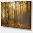 thumbnail image 2 of Forêt d'Automne Épaisse avec Brouillard - Impression sur Toile, 2 of 4