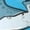 White, variant on Vsdgher Sharks Summer Crew Socks for Men & Women, Breathable Casual Athletic Ankle Socks