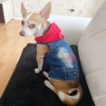 thumbnail image 3 of XS-2XL Denim Dog Clothes Cowboy Pet Dog Coat Puppy Clothing For Small Dogs Jeans Jacket Dog Vest Coat Puppy Outfits Cat Clothes ShopWise Round, 3 of 21