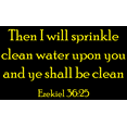 thumbnail image 1 of Ezekiel 36:25 - Then I will sprinkle clean water... Vinyl Decal Sticker Quote - Large - Brimstone Yellow, 1 of 3