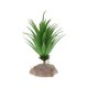 thumbnail image 5 of Planta Terrario Acuario Planta Acuática Complimentos Pecera Acuario QM-15 Gloria Planta de terrario de reptiles, 5 of 9
