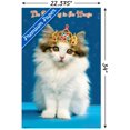 thumbnail image 3 of Keith Kimberlin - Kitten - Queen Wall Poster, 22.375" x 34", 3 of 5
