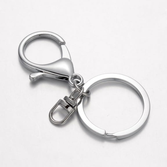 5Pcs Platinum Alloy Split Key Rings Keychain Clasp Findings Small Key Rings Bulk Split Keychain Keychains with Chain and Jump Rings