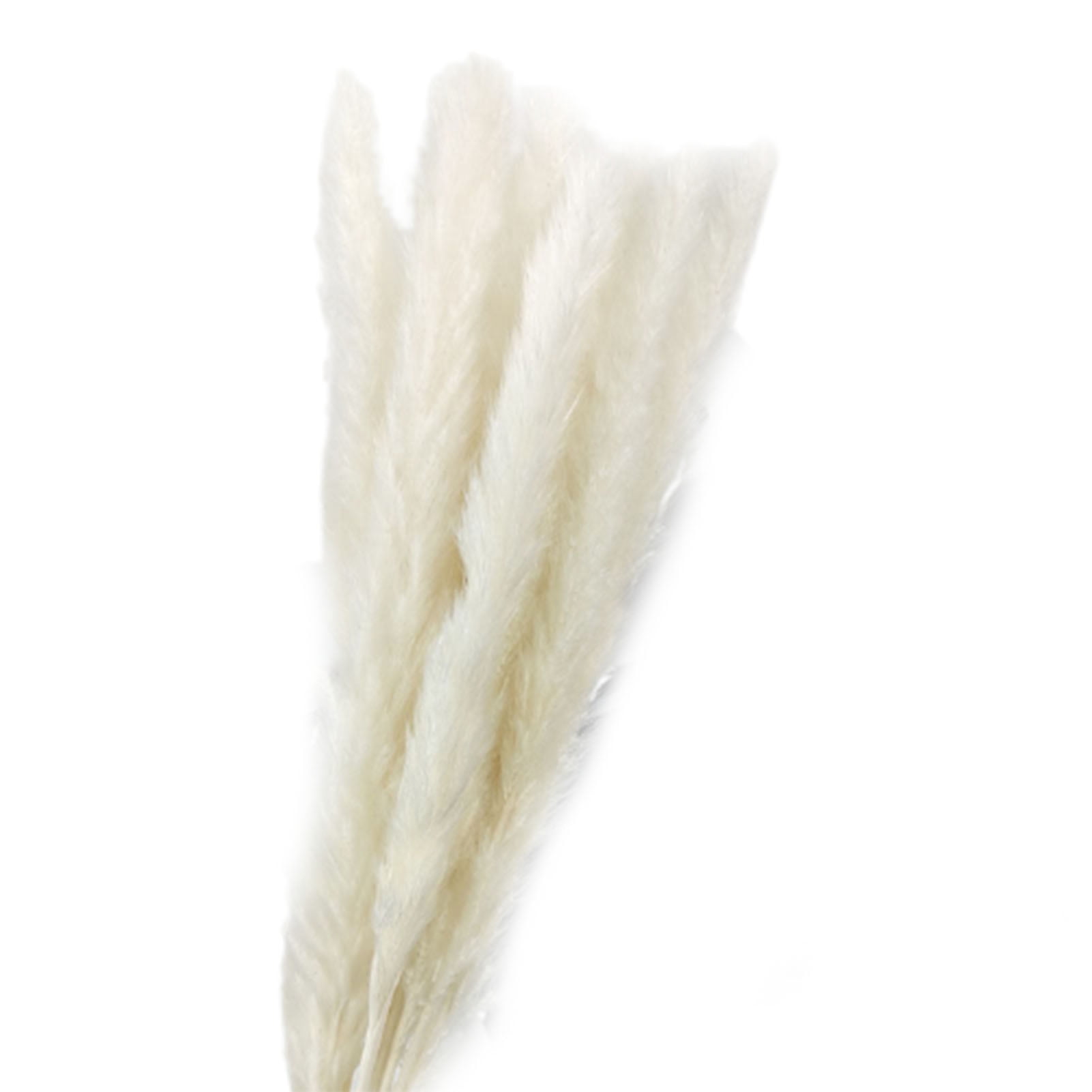 Natural Dried-Pampas Grass Gray Reed Flower Bunch Bouquet Wedding Party Decor