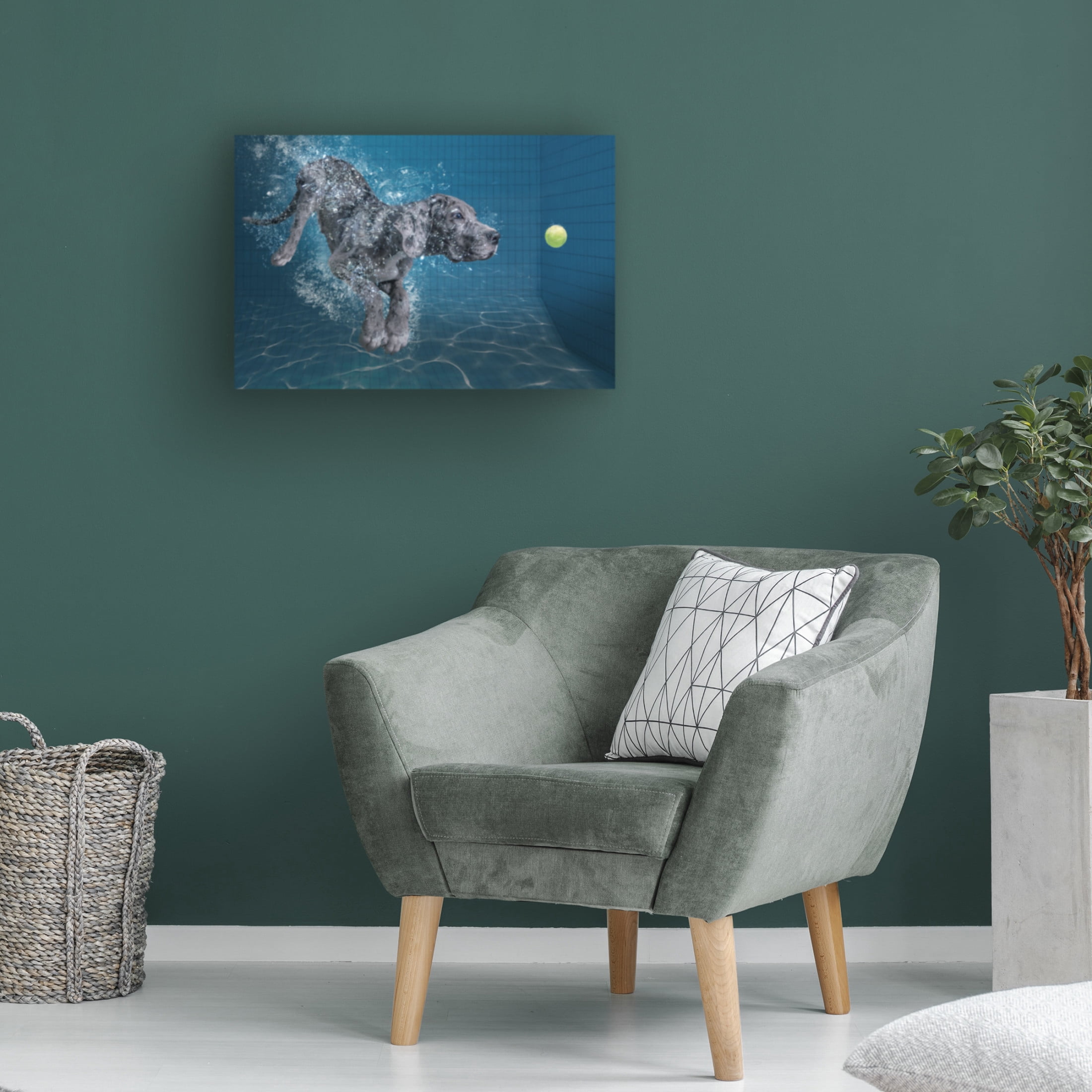 Trademark Fine Art Marcel Egger  SplashDog Canvas Wall Art