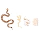 thumbnail image 2 of Modelo de ciclo de crecimiento, modelo de ciclo de crecimiento de serpiente de cascabel, modelo de ciclo de vida de serpiente, modelo de ciclo de vida, juguete de durabilidad extendida, 2 of 14