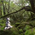thumbnail image 4 of Shengyu Statue d'Animal Bouddha Statue de Chien Chat Yoga Pose Décontractée Déco Commémorative pour la Maison Déco de Méditation Déco de Yoga Chat Chat, 4 of 6