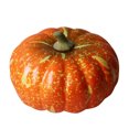 thumbnail image 1 of Artificial Pumpkin Lifelike Realistic Halloween Artificial Vegetables Home Decor Vegetables, 1 of 9