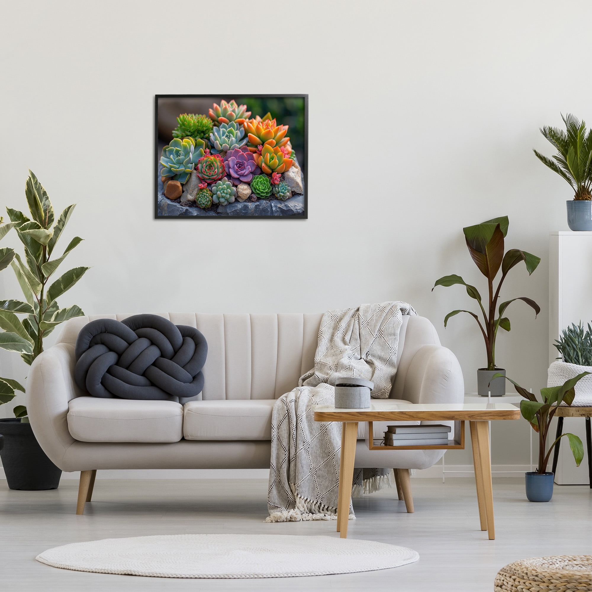 Stupell Industries Varied Succulents Photography Botanical & Floral Photography Black Framed Art Print Wall Art, 30 x 24