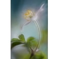 thumbnail image 2 of Westum, Heidi 17x24 White Modern Wood Framed Museum Art Print Titled - Springtime, 2 of 4