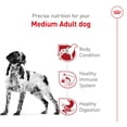 thumbnail image 3 of Royal Canin Size Health Nutrition Medium Breed Adult Dry Dog Food, 3 of 5