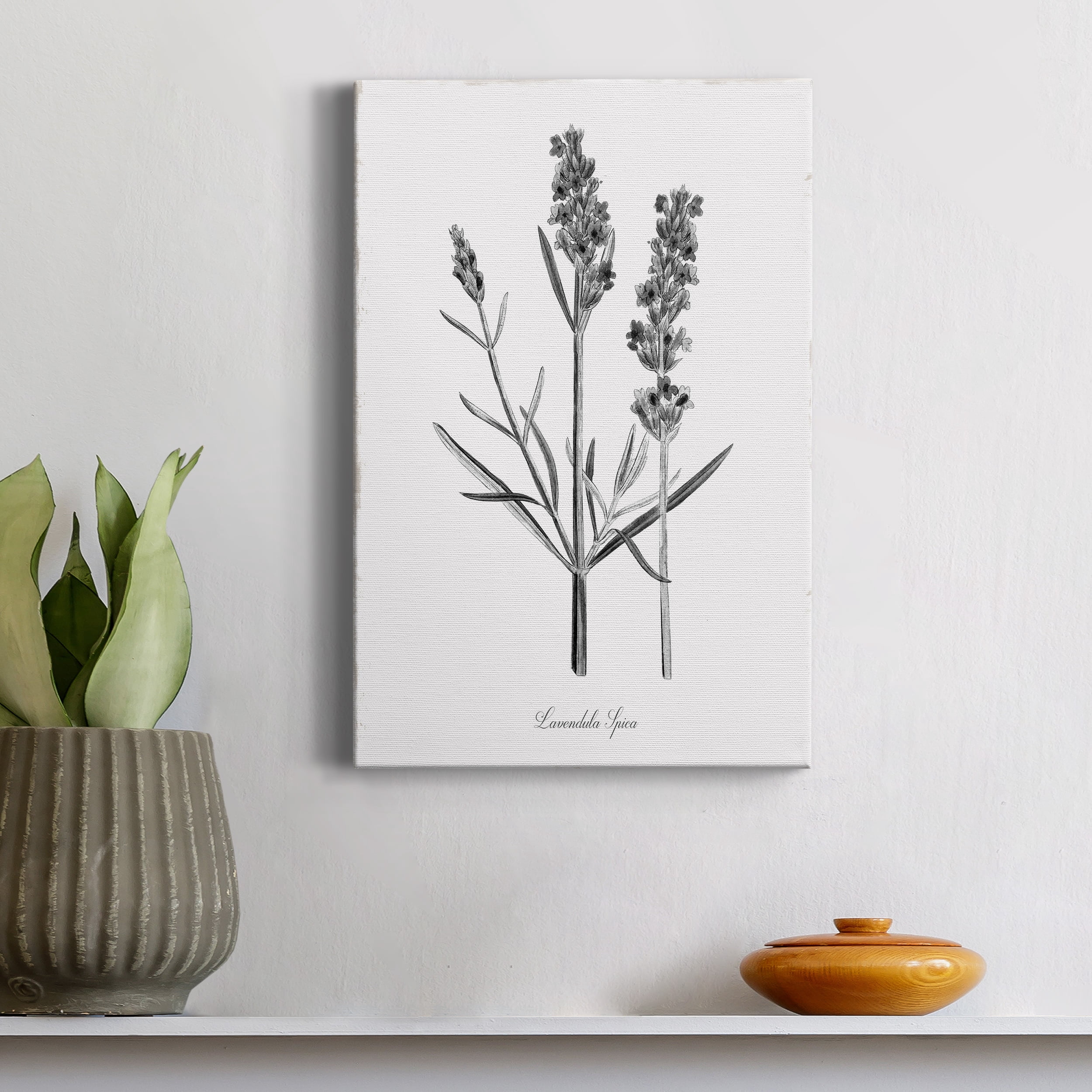 Simply Lavender Premium Gallery Wrapped Canvas - Ready to Hang - 32 x 48