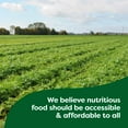 thumbnail image 2 of 2 Pack Knorr Concentrated Stock Beef, 2 of 5