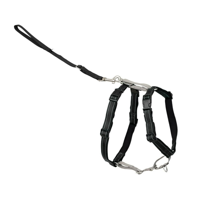 PetSafe 3 in 1 Dog Harness - No Pull Solution for Dogs - Reflective Dog Harness - Front D-Ring Clip Helps Stop Pulling - Comfortable Padded Stra