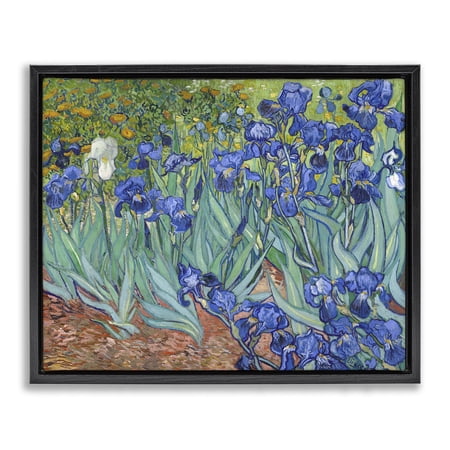 Stupell Industries Classic Van Gogh Irises Plants & Flowers Painting Black Floater Framed Canvas Art Print Wall Art  31 x 25