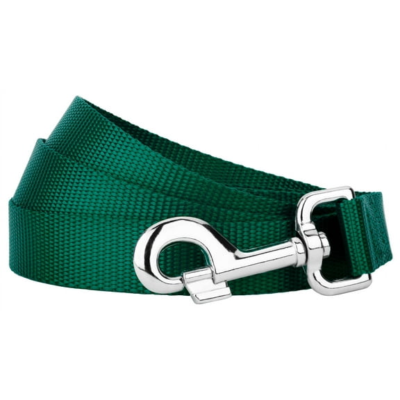Country Brook Petz® 3/4 inch Nylon Dog Leash - Green, 4 Foot