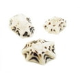 thumbnail image 2 of 4 oz (1 Cup) Star Limpet Shells Seashells 3/4-1" Beach Wedding Decor Crafts Hobby, 2 of 3