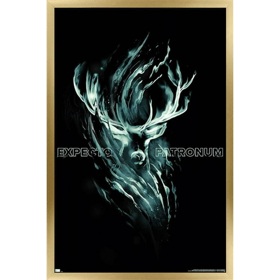 Harry Potter - Expecto Patronum Magic Wall Poster, 22.375" x 34", Framed