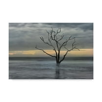 Trademark Fine Art 'Gray Skies' Canvas Art by Danny Head
