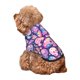 thumbnail image 5 of Balery cartoon rainbow Skull Sudadera con Capucha para Perros Pequeños – Ropa para Mascotas, Disfraz para Perros y Gatos, Ideal para Fiestas y Cosplay-Medium, 5 of 7