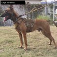 thumbnail image 2 of Arnés táctico para perros ICEFANG GN3 con hebilla 6X Coyote Brown, 2 of 5